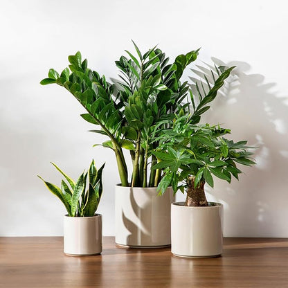 vancasso 6"+8"+10" Ceramic Pot for Plants, Large Outdoor Indoor Planter Pots with Drainage Holes, Set of 3, Grey