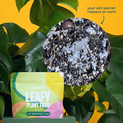 Leafy Plant Food with Mycorrhizal Fungi - Use Year-Round - Makes 200 Liters Gentle Houseplant Fertilizer for Indoor Potted Plants