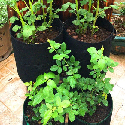 ELEOPTION Plant Grow Bags 7 Gallon 2PCS, Non-Woven Garden Potato Carrot Tomato Vegetable Planting Bag with Handles and Flap, Fabric Pots Heavy Duty Planter Bags (Black)