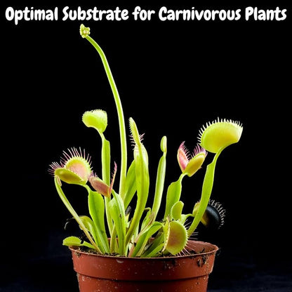 Soil Sunrise Sphagnum Moss Potting Mix (1 Quart) for Carnivorous Plants: Blend of Dried Moss with Perlite