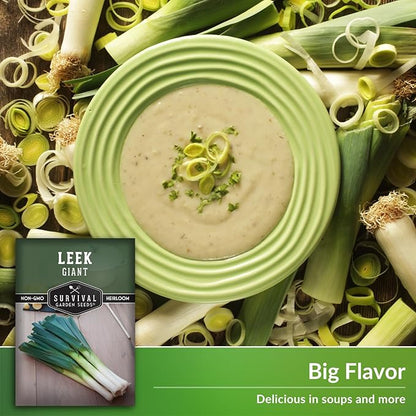 Survival Garden Seeds Giant Leek Seed for Planting - 2 Packets with Instructions to Plant and Grow Enormous Leeks in Your Home Vegetable Garden - Non-GMO Heirloom