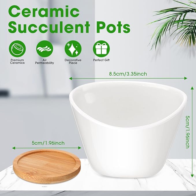 Domensi 12 Pack Succulent Planter Pots 3 Inch Small Plant Pots Mini Ceramic Succulent Planter Holder with Drainage Holes and Bamboo Saucers (White)