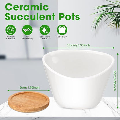 Domensi 12 Pack Succulent Planter Pots 3 Inch Small Plant Pots Mini Ceramic Succulent Planter Holder with Drainage Holes and Bamboo Saucers (White)