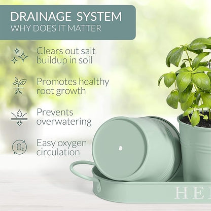 Barnyard Designs Indoor Herb Garden Planter Set with Tray, Metal Windowsill Plant Pots with Drainage for Outdoor or Indoor Plants, Set/3 (Soft Mint)