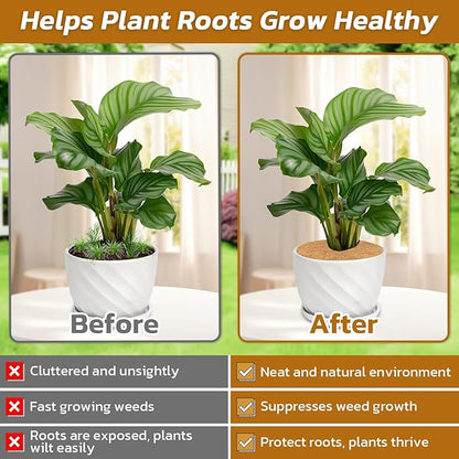 Legigo 10pcs Coconut Fiber Mulch Ring Tree Plant Protector Mat, 11.8 Inch Natural Coco Coir Tree Protection Ring Plant Pot Soil Cover, Tree Rings Disc Plant Cover for Indoor Outdoor Plants,Landscaping