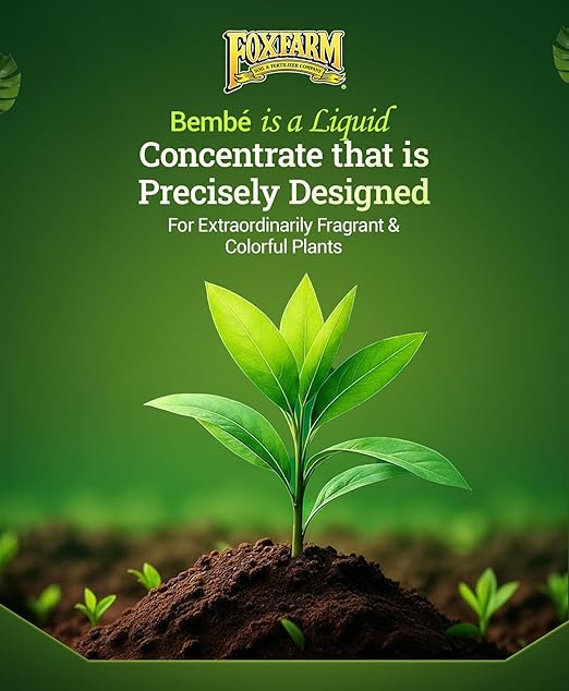 FoxFarm Bush Doctor Bembé Sweet & Dandy Liquid Plant Fertilizer - Boosts Plant Sweetness & Soil Microbes, Complex Nutrient Blend - 0-1-3 PK Fertilizer for In-Ground & Hydroponic Gardens - 1 Quart