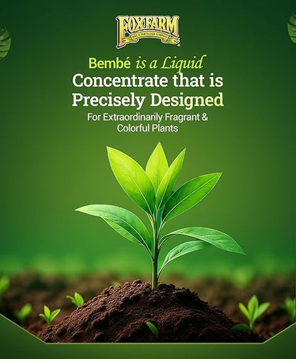FoxFarm Bush Doctor Bembé Sweet & Dandy Liquid Plant Fertilizer - Boosts Plant Sweetness & Soil Microbes, Complex Nutrient Blend - 0-1-3 PK Fertilizer for In-Ground & Hydroponic Gardens - 1 Gallon