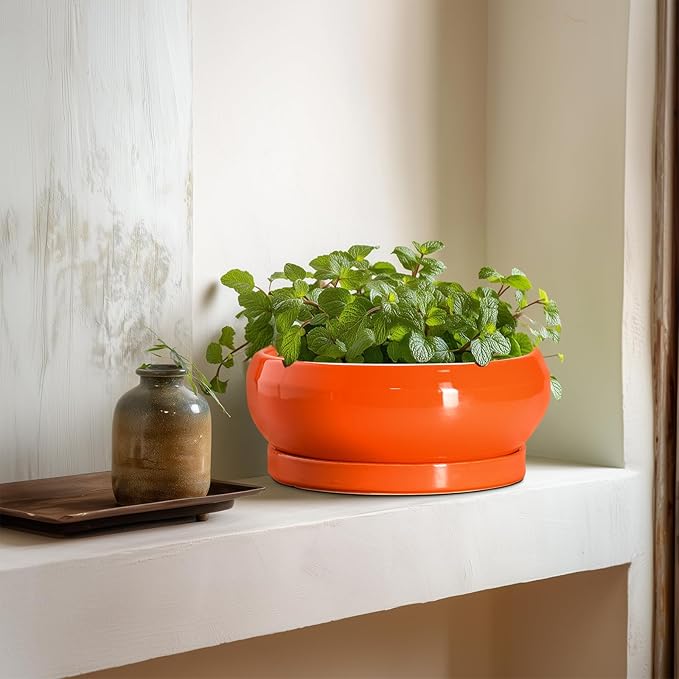 Bonsai Pots 8 Inch - Ceramic Succulent Planter with Drainage Hole and Saucer, Shallow Plant Pot Indoor Outdoor, Round Bowl Planter, Bonsai Tree Pots, Table Decor, Plant Lover Gift, Orange