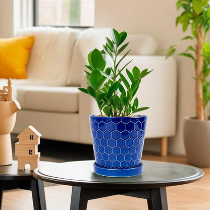BUYMAX Plant Pots Indoor –6 inch Ceramic Flower Pot with Drainage Hole and Ceramic Tray - Gardening Home Desktop Office Windowsill Decoration Gift, Set of 2(Royal Blue)