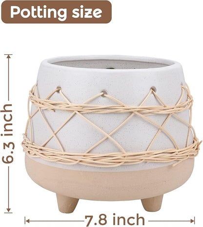 Ceramic Planter 8 Inch Plant Pots Indoor Outdoor Planter with Drainage Hole Flower Pots Plant Pot Ceramic Mid-Century