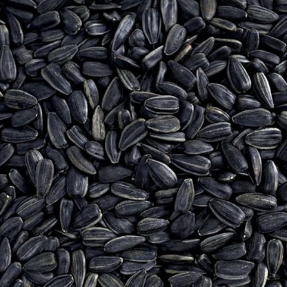 Happy Wings Black Oil Sunflower Seeds Wild Bird Food- 15 Pounds | No Grow Seed | Bird Seed for Wild Birds