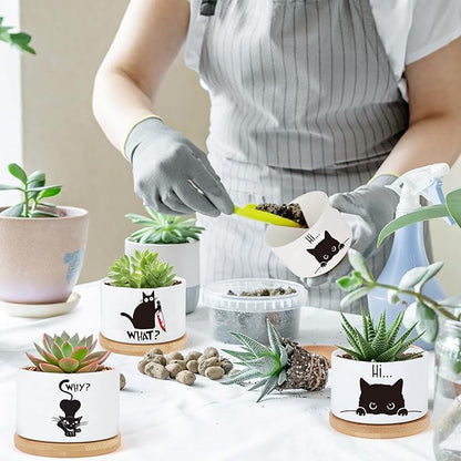 3 Pcs Cat Ceramic Plant Pots,Funny Cat Planter Gifts for Women,for Indoor Plants Garden Planters Succulent Pots, with Drainage Holes and Saucer(No Plants)