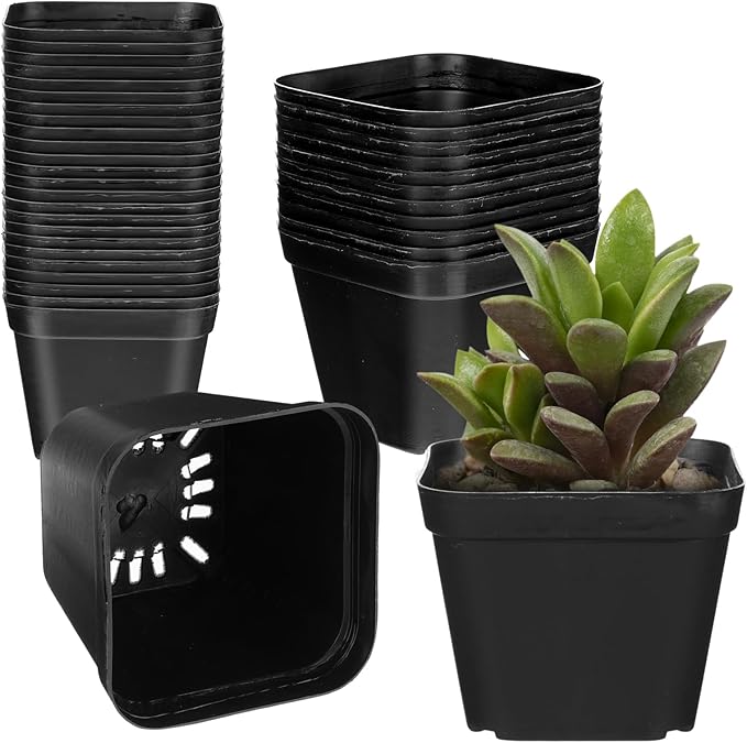 36 Pcs Nursery Pots 4 Inch, Plastic Seed Starting Pot with Drainage Holes, Sturdy Seedling pots for Planting, Succulents, Transplanting, Cuttings (Black)