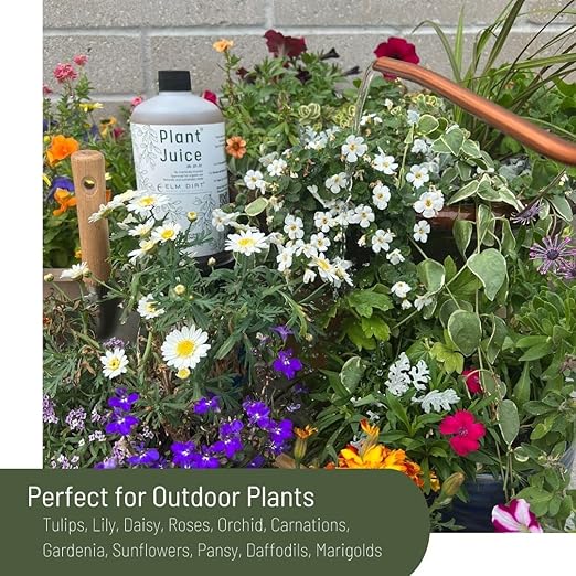 Elm Dirt Plant Juice & Ancient Soil Bundle - Plant Food Outdoor & Indoor Plant Food | Potting Soil for Outdoor Plants & Indoor Plant Soil - House Plant Soil & All Purpose Plant Food Liquid (Bundle)