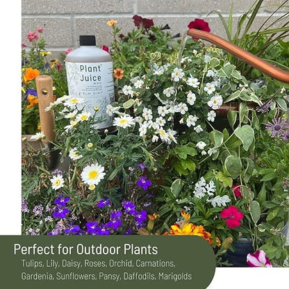 Elm Dirt Plant Juice & Ancient Soil Bundle - Plant Food Outdoor & Indoor Plant Food | Potting Soil for Outdoor Plants & Indoor Plant Soil - House Plant Soil & All Purpose Plant Food Liquid (Bundle)