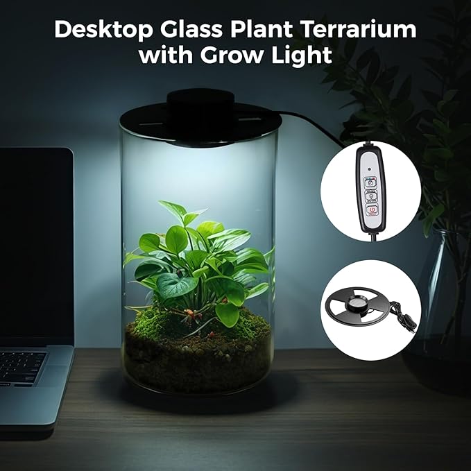 Desktop Glass Terrarium with Grow Light - Succulent Moss Miniature Gardening Landscape, Fish Tank Indoor Plant Growth Office Home Decoration Plant Lovers Gifts