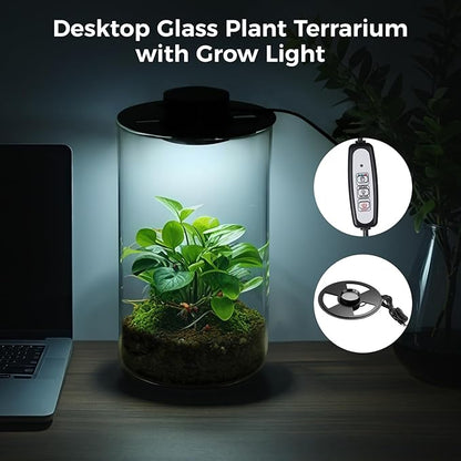 Desktop Glass Terrarium with Grow Light - Succulent Moss Miniature Gardening Landscape, Fish Tank Indoor Plant Growth Office Home Decoration Plant Lovers Gifts