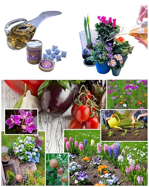 TeaDrops Bio Organic Rose Fertilizer – Makes Easy Liquid Flower Food (16 Count) Make up to 32 Gallons - Use in Watering Can - Premium Formula - Custom Made in USA