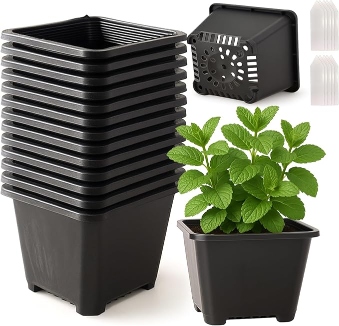 25 Packs Square Nursery Pots for Plants 3.5 Inch Succulent Plant Pots Set Plastic Seedling Starting Pots with Drainage Holes Nursery Pots Variety Pack Flower pots Planter Seed Starter, Black