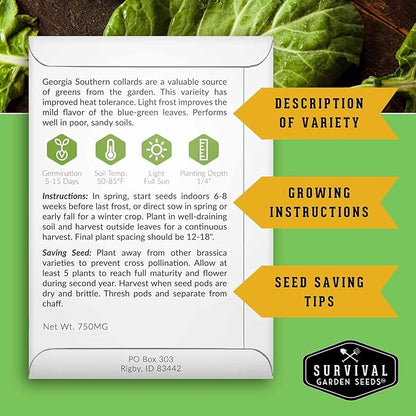 Collard Green Seeds for Planting | Georgia Southern Heirloom Non-GMO Variety | Leafy Greens for Home Vegetable Gardens - Survival Garden Seeds (2 Packs)