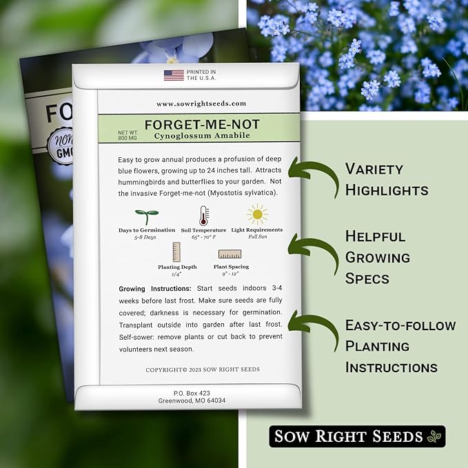 Sow Right Seeds - Forget-Me-Not Flower Seeds for Planting (Cynoglossum amabile) - Non-GMO Heirloom Packet with Instructions - Great to Pair with Cards of Remembrance - Small Blue Memory Blooms (4)