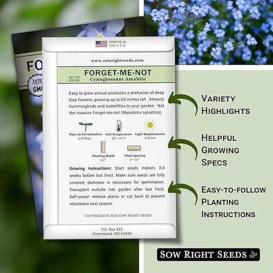 Sow Right Seeds - Forget-Me-Not Flower Seeds for Planting (Cynoglossum amabile) - Non-GMO Heirloom Packet with Instructions - Great to Pair with Cards of Remembrance - Small Blue Memory Blooms (4)