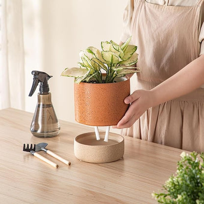 Self Watering Plant Pot: 6 Inch Ceramic Planter with Drainage Hole & Water Storage Plus - Flower Pot for Indoor & Outdoor Plants (Terracotta, Small)