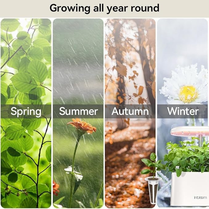 inbloom Fragrant Bouquet Flower Seed Pod Kit for AeroGarden, iDoo, Ahopegarden, GARDENCUBE, 7 Pods (350+ Flower Seeds with Sunflower, Mexican Marigold, Cockscomb, French Marigold, Dahlia)