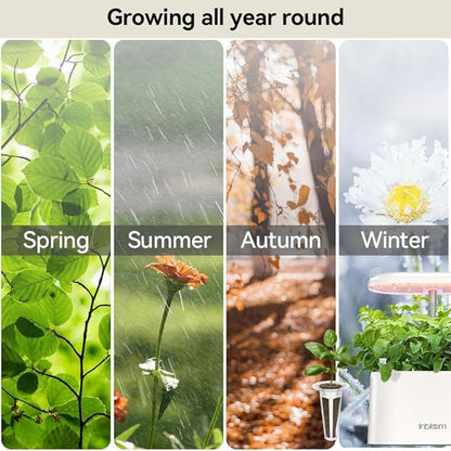inbloom Fragrant Bouquet Flower Seed Pod Kit for AeroGarden, iDoo, Ahopegarden, GARDENCUBE, 7 Pods (350+ Flower Seeds with Sunflower, Mexican Marigold, Cockscomb, French Marigold, Dahlia)