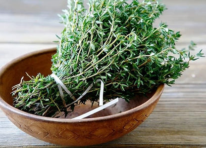 Seeds Common English Thyme Herbs for Planting Non GMO 500 Seeds