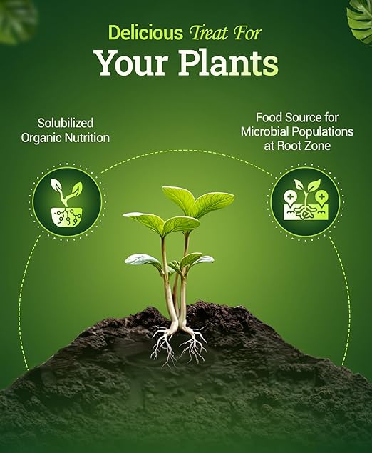 FoxFarm Bush Doctor Bembé Sweet & Dandy Liquid Plant Fertilizer - Boosts Plant Sweetness & Soil Microbes, Complex Nutrient Blend - 0-1-3 PK Fertilizer for In-Ground & Hydroponic Gardens - 1 Gallon