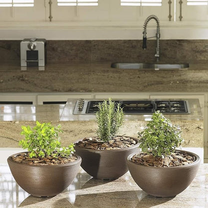 Crescent Garden Delano Bowl Planter, Indoor Outdoor Round Shallow Plant Pot for Water Garden, Bonsai Plant Pots, Succulents with Drain Hole - Double Walled Bowl Lotus Pot, 16" W (Mocha)