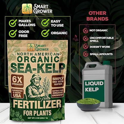 Organic Sea Kelp Fertilizer for Plants – Water-Soluble – Makes 200 Gallons – Kelp Meal Concentrate Plant Food – for Indoor Gardens, Hydroponics, Vegetables, Houseplants - Smart Grower - 8oz Bag