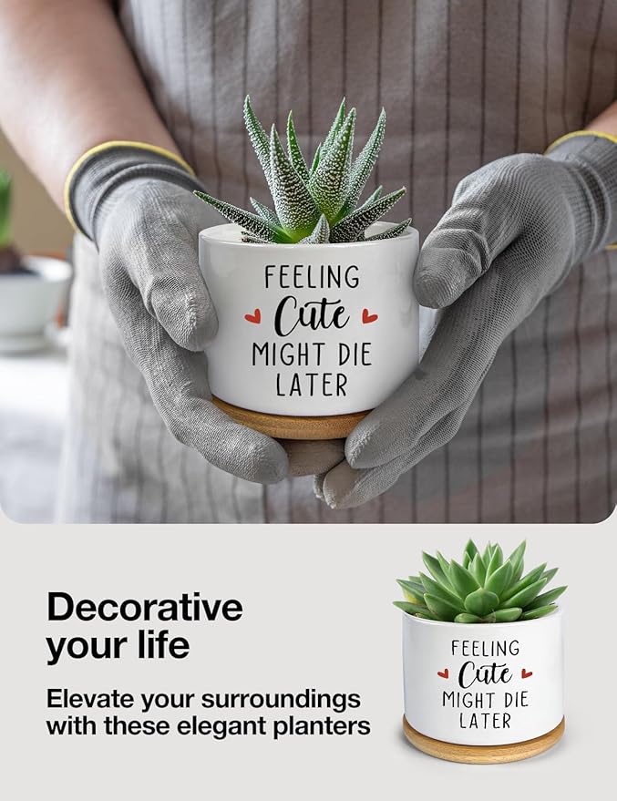Feeling Cute Might Die Later Pot- Ceramic Engraved Succulent Aloe Cactus Planter Pot, Funny Indoor Plant Pots with Bamboo Tray for Mom Grandma Teacher Gifts(Plant Not Included)