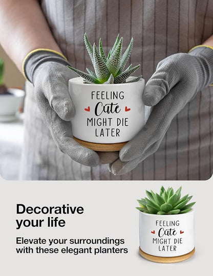 Feeling Cute Might Die Later Pot- Ceramic Engraved Succulent Aloe Cactus Planter Pot, Funny Indoor Plant Pots with Bamboo Tray for Mom Grandma Teacher Gifts(Plant Not Included)