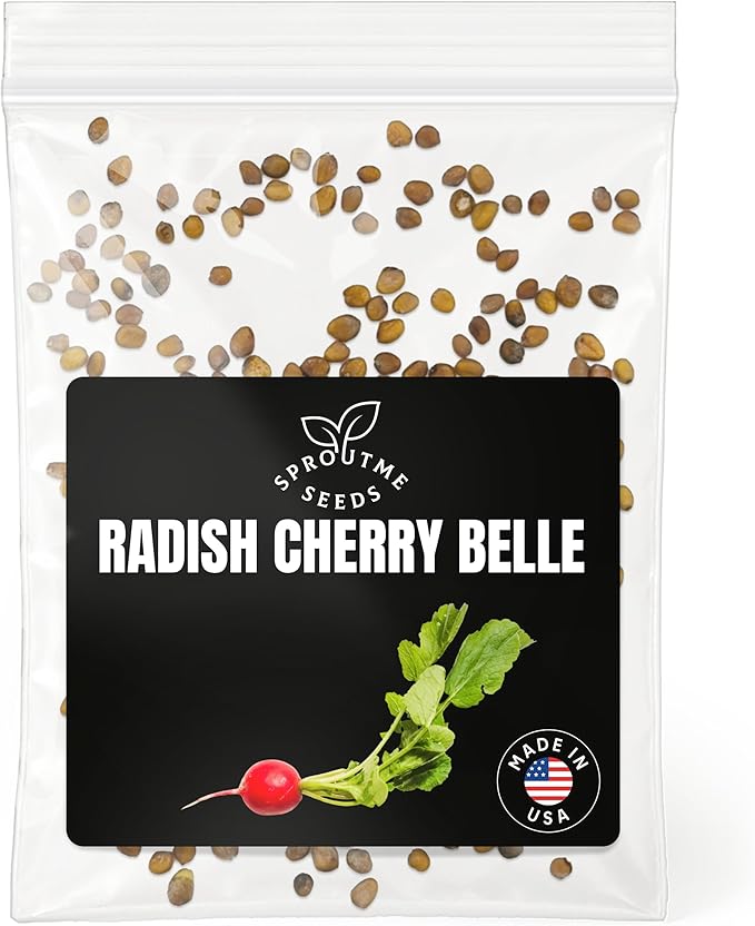 Radish Cherry Belle Seeds for Planting – 200+ Heirloom Non-GMO, Round Red Radish Variety for Spring & Fall Gardens, High Germination (Raphanus sativus)