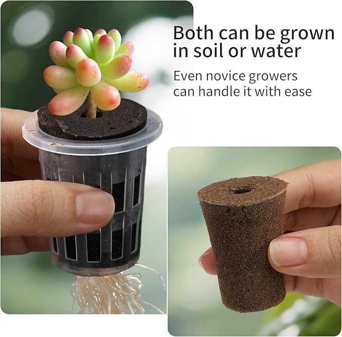 Clear Hydroponic Nursery Kit, Transparent Plant Starter Hydroponic Pots for Seed Starting, Hydroponic System for Nursery