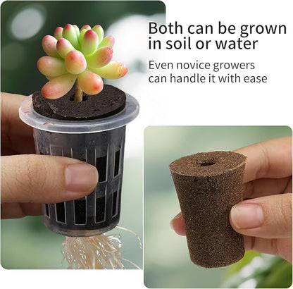 Clear Hydroponic Nursery Kit, Transparent Plant Starter Hydroponic Pots for Seed Starting, Hydroponic System for Nursery