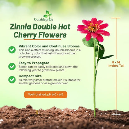 Outsidepride Zinnia Seeds – 50pcs Annual Zinnia Hybrida Profusion Double Hot Cherry Seeds for Planting Outdoors, Ideal for Garden Beds, Pollinator & Cut Flower Gardens, Low Maintenance (AAS Winner)