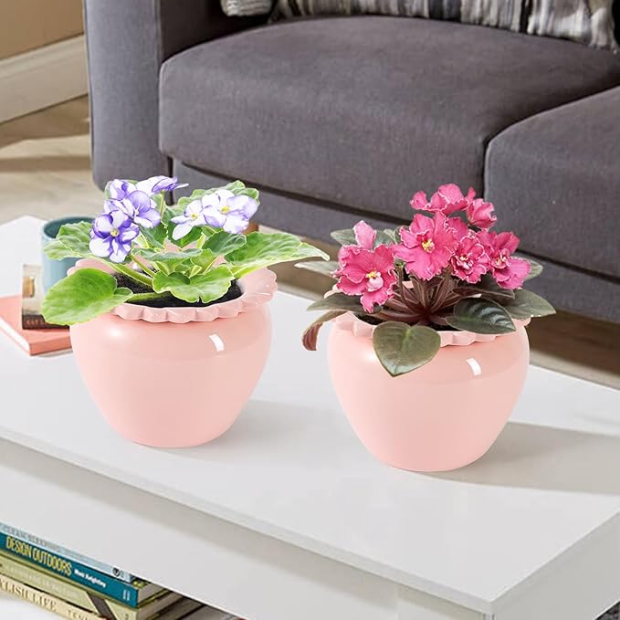 2pcs 6.5inch Design Self Watering Pot for Indoor Plants Pink Indoor Plants Herbaceous Plants Flowers White Terracotta Pots African Violet Pot for Plant Enthusiasts Orchid Planter