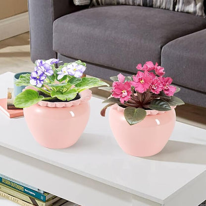 2pcs 6.5inch Design Self Watering Pot for Indoor Plants Pink Indoor Plants Herbaceous Plants Flowers White Terracotta Pots African Violet Pot for Plant Enthusiasts Orchid Planter