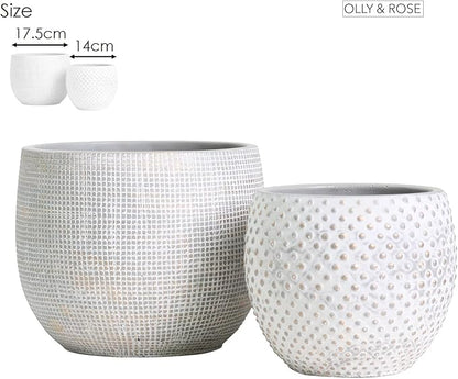 Olly & Rose Ceramic Cream Gold Plant Pot Set 2-6.8" and 5.5" Indoor Planters Cement Outdoor Flower Pots