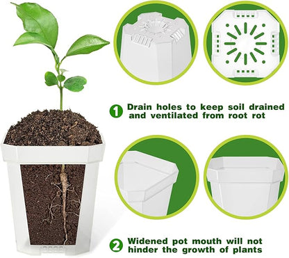 foxany 3" Clear Nursery Pot, 60 Pcs Thick Plastic Square Planting Pots Without Saucers, Plant Seedling Pots, Seed Starting Pots with 100Pcs Plant Labels