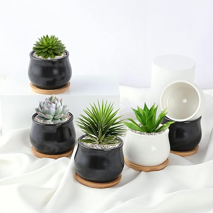 2 Pack Succulent Pots, 2.5 Inch Mini Ceramic Pots for Flower or Cactus Plants with Drainage Hole,Plants Not Included (White)