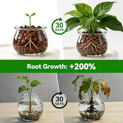 Zeedix 1QT Leca Clay Pebbles for Plants, 4mm-16mm Clay Balls Hydroton Leca Balls for Hydroponic Growing Gardening Orchids Drainage Decoration Aquaponics