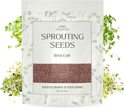 Petal & Pod Microgreens & Sprouting Seeds (12oz) - Broccoli - Seeds for MicroGreens Growing Kit and Sprouting Jars