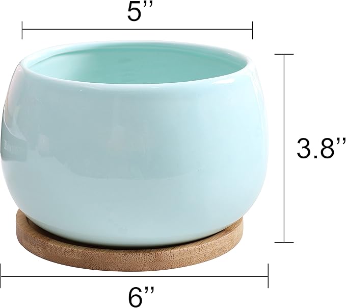 Jusalpha 5'' Ceramic Large Succulent Cactus Plant Pot with Drainage Hole & Bamboo Saucer for Indoor Plant, Planter 07 (Blue)