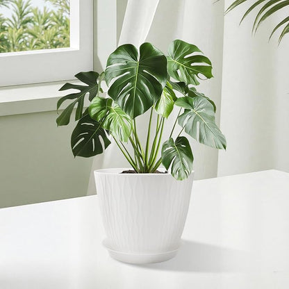 8/7/6 inch Plant Pots, 3 Pack Flower Pots for Outdoor Indoor Garden Plants, Large Planters with Multi Mesh Drainage Holes and Saucer (White, 8"+7"+6")