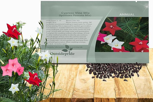 Outsidepride Mixed Cypress Vine Seeds - 200 Pcs Annual Flower Seeds with Nectar-Rich, Star-Shaped Flowers & Feathery, Fern-Like Leaves for Fences, Trellises, Pergolas & Vertical Gardens