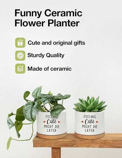 Feeling Cute Might Die Later Pot- Ceramic Engraved Succulent Aloe Cactus Planter Pot, Funny Indoor Plant Pots with Bamboo Tray for Mom Grandma Teacher Gifts(Plant Not Included)